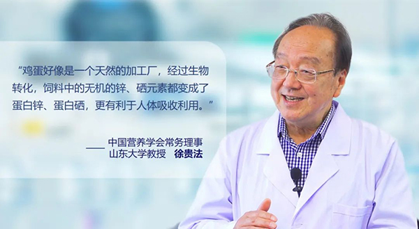喜報丨山東欣希安藥業(yè)榮獲“2021山東十大創(chuàng)新力企業(yè)” 喜報丨山東欣希安藥業(yè)榮獲“2021山東十大創(chuàng)新力企業(yè)”