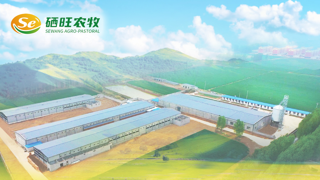 1688447330205182.png 7.png