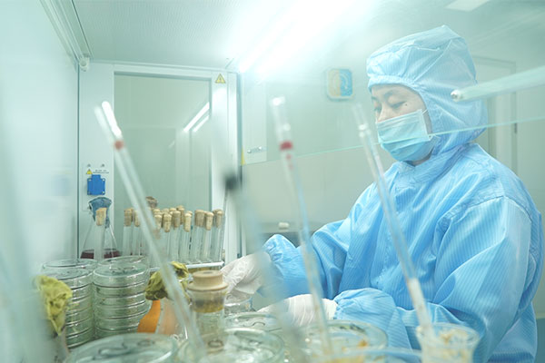 欣希安藥業(yè)自主研發(fā)項目入選2020年山東省第一批技術創(chuàng)新項目計劃 研發(fā)產品.jpg