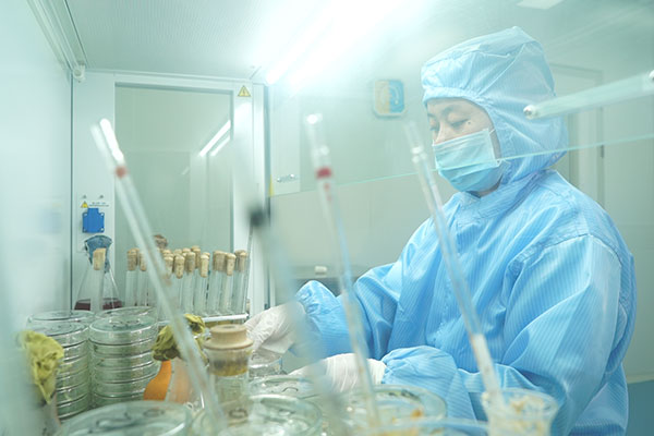 陽(yáng)明心學(xué)實(shí)修學(xué)者張恒智老師到欣希安藥業(yè)指導(dǎo)交流 陽(yáng)明心學(xué)實(shí)修學(xué)者張恒智老師到欣希安藥業(yè)指導(dǎo)交流